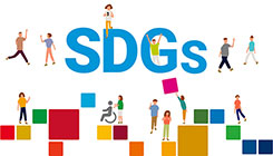 The SDGs